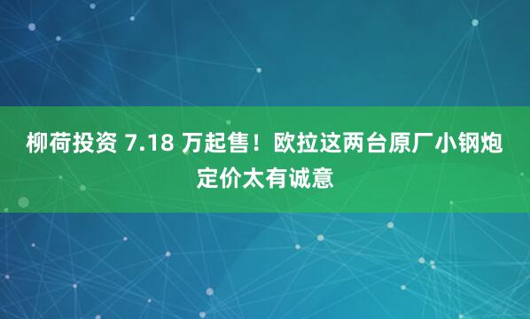 柳荷投资 7.18 万起售！欧拉这两台原厂小钢炮定价太有诚意
